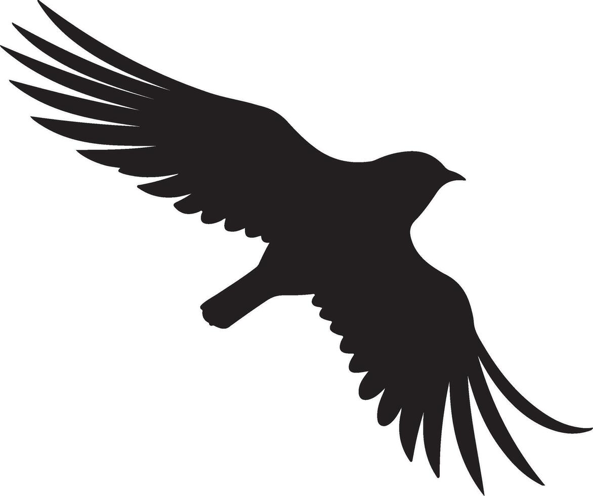 Nightjars Bird Silhouette Illustration White Background vector