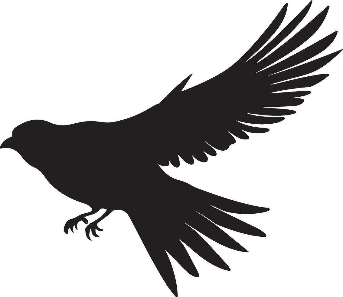 Nightjars Bird Silhouette Illustration White Background vector