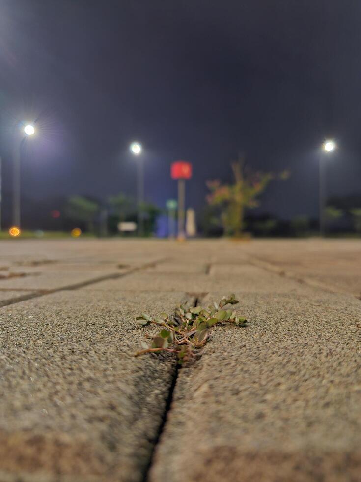 An outdoor car park at a shopping mall in Padalarang, Bandung, Photo taken in the evening