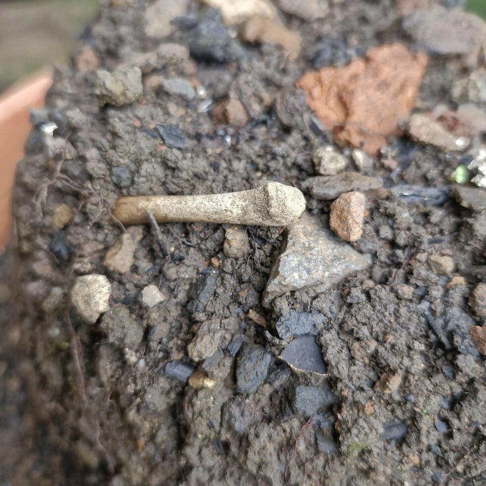 Organic potting compost, background, from above. Soil, growing medium and culture substrate for sowing. Made of moderately decomposed raised bog peat, bark humus, wood fibers, sand and NPK fertilizer photo
