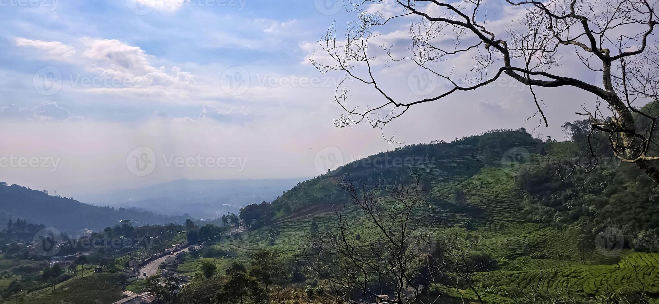 Beautiful scenery on top of hill, green view and blue sky with clouds, location at puncak pass, bogor, indonesia photo
