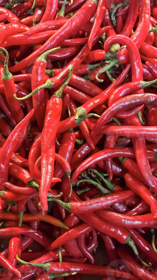 Red hot chilli peppers texture background, close up, A backdrop of Red hot chilli peppers, Street vegetable market, Group of Red hot chilli peppers photo