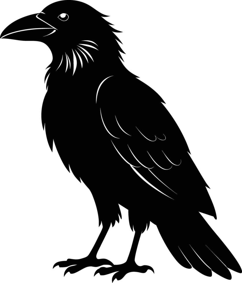 A black raven standing on a white background vector