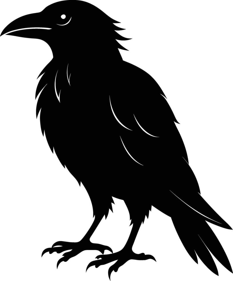 A black raven standing on a white background vector