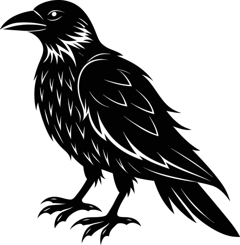 A black raven standing on a white background vector
