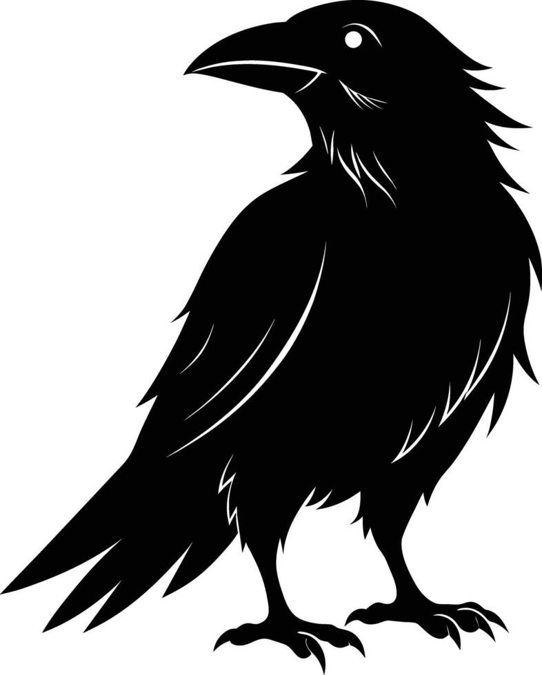 A black raven standing on a white background vector