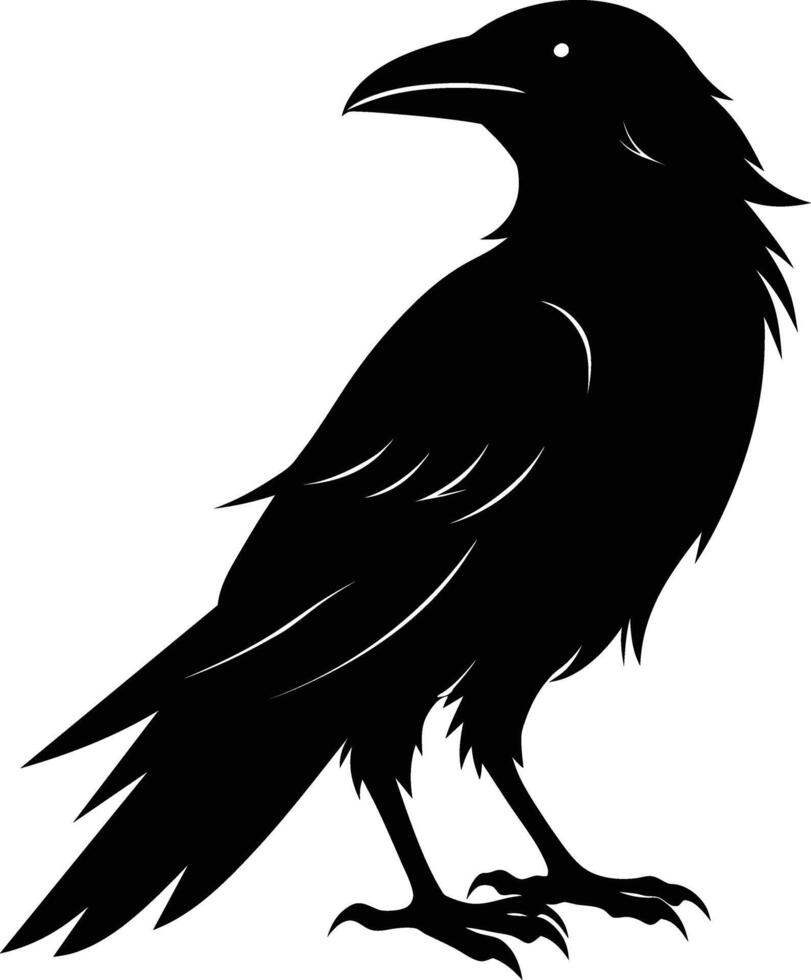 A black raven standing on a white background vector