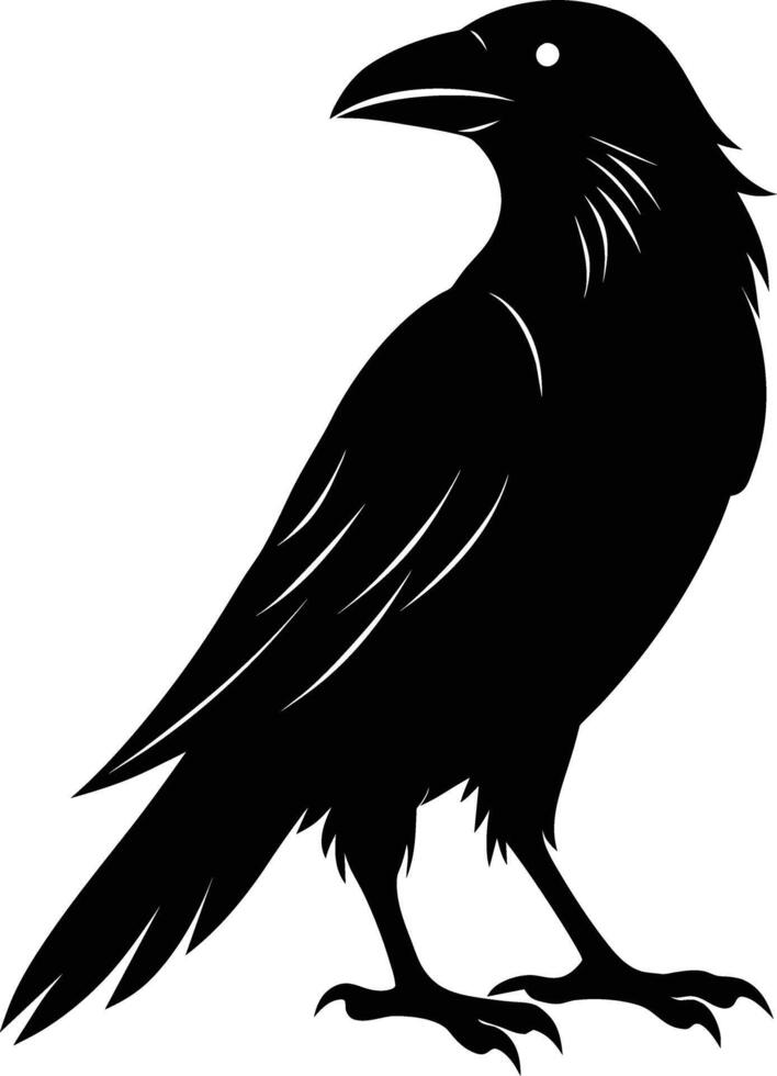 A black raven standing on a white background vector