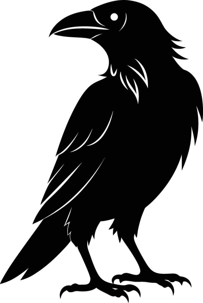 A black raven standing on a white background vector