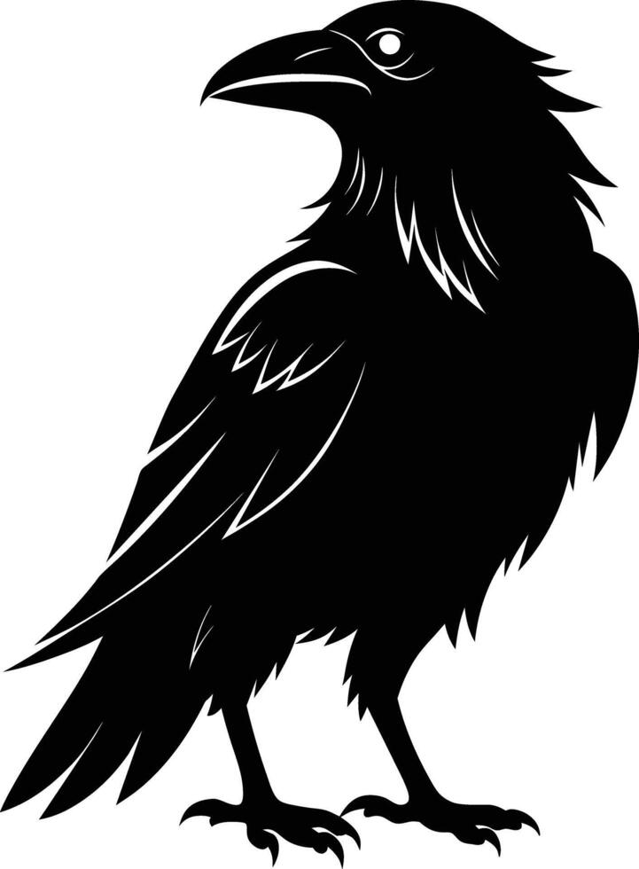 A black raven standing on a white background vector