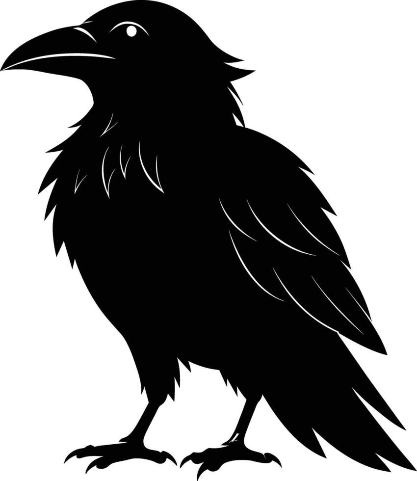 A black raven standing on a white background vector