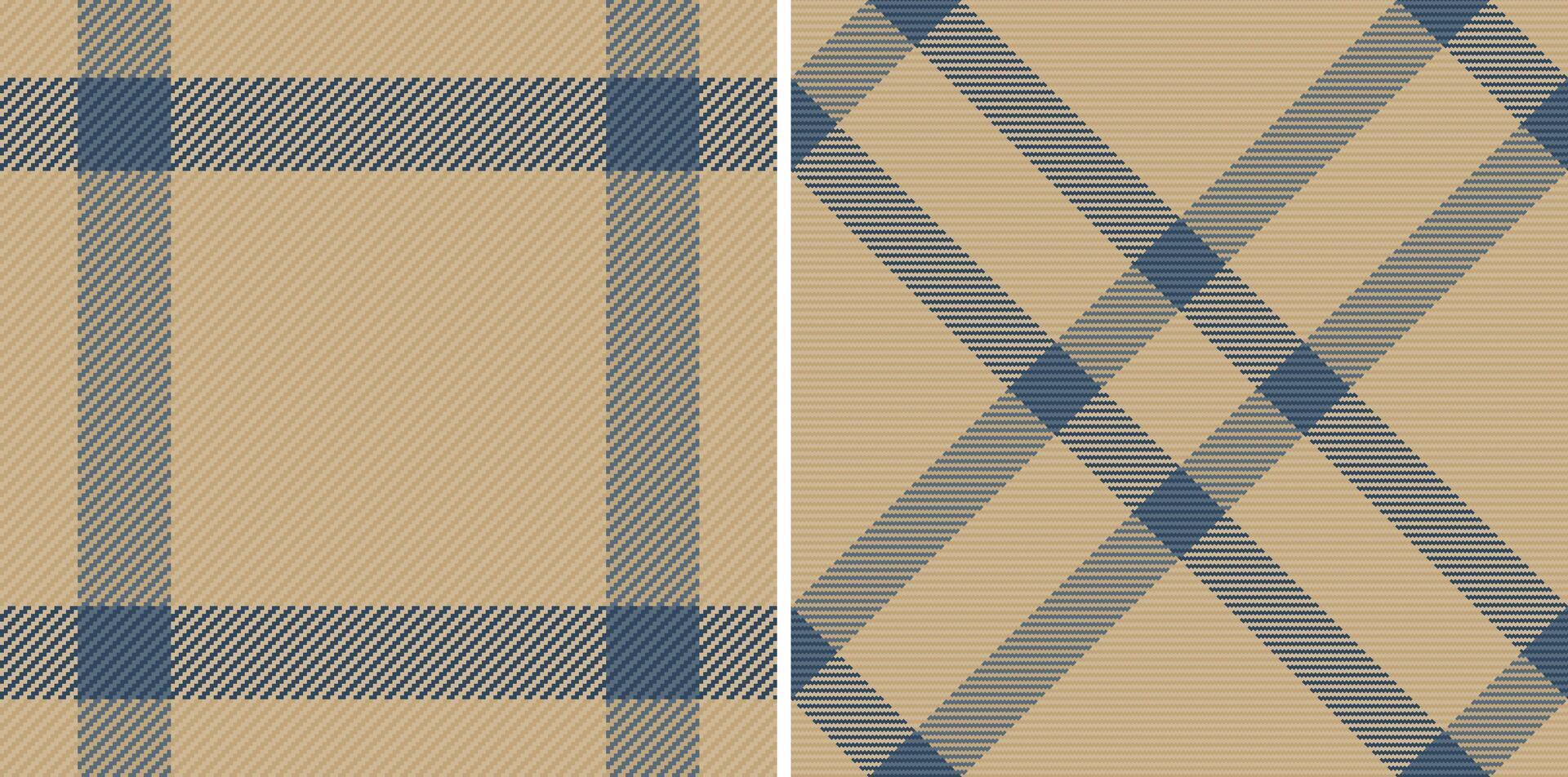 Background plaid of check texture fabric with a textile tartan seamless pattern. vector