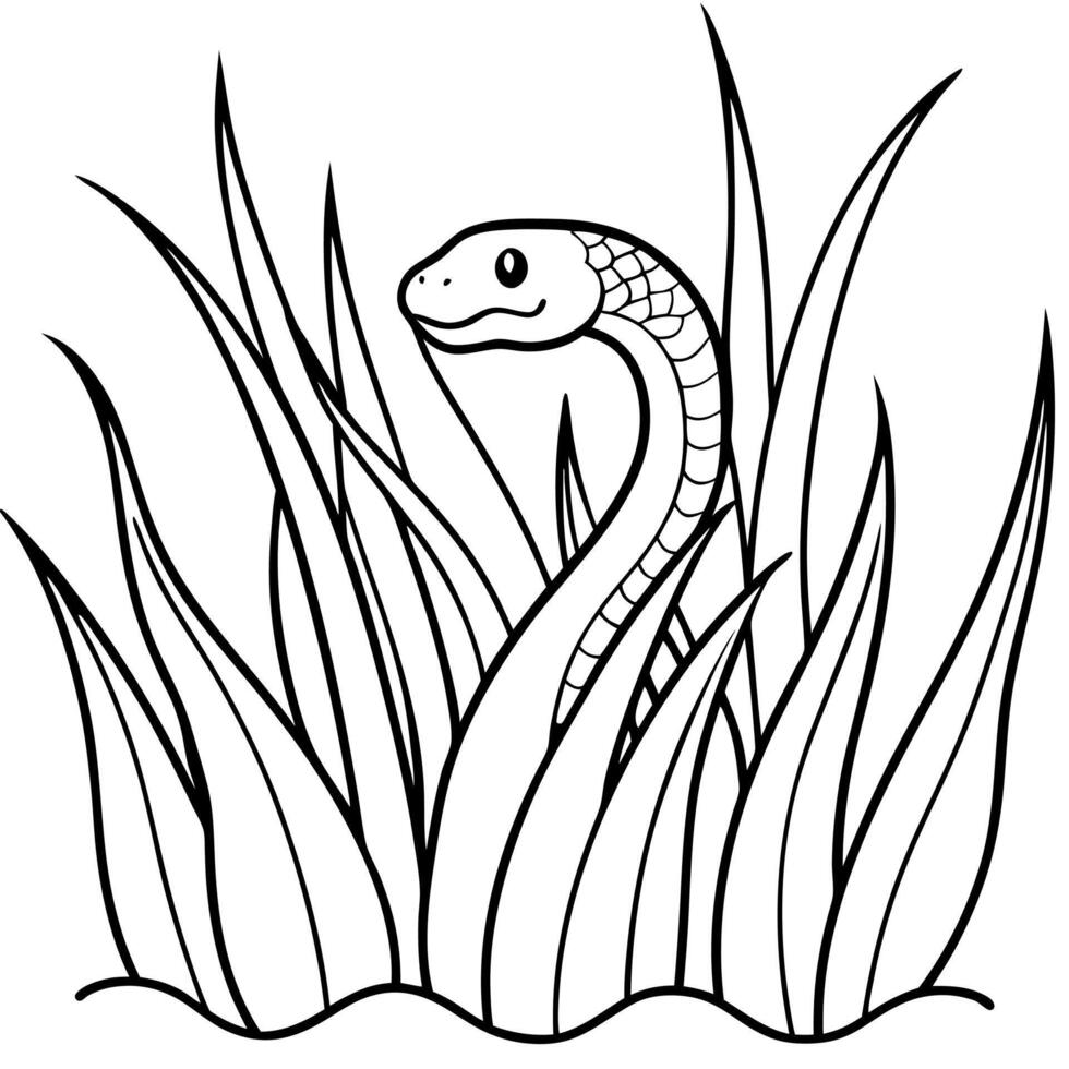 Anaconda snake coloring pages vector