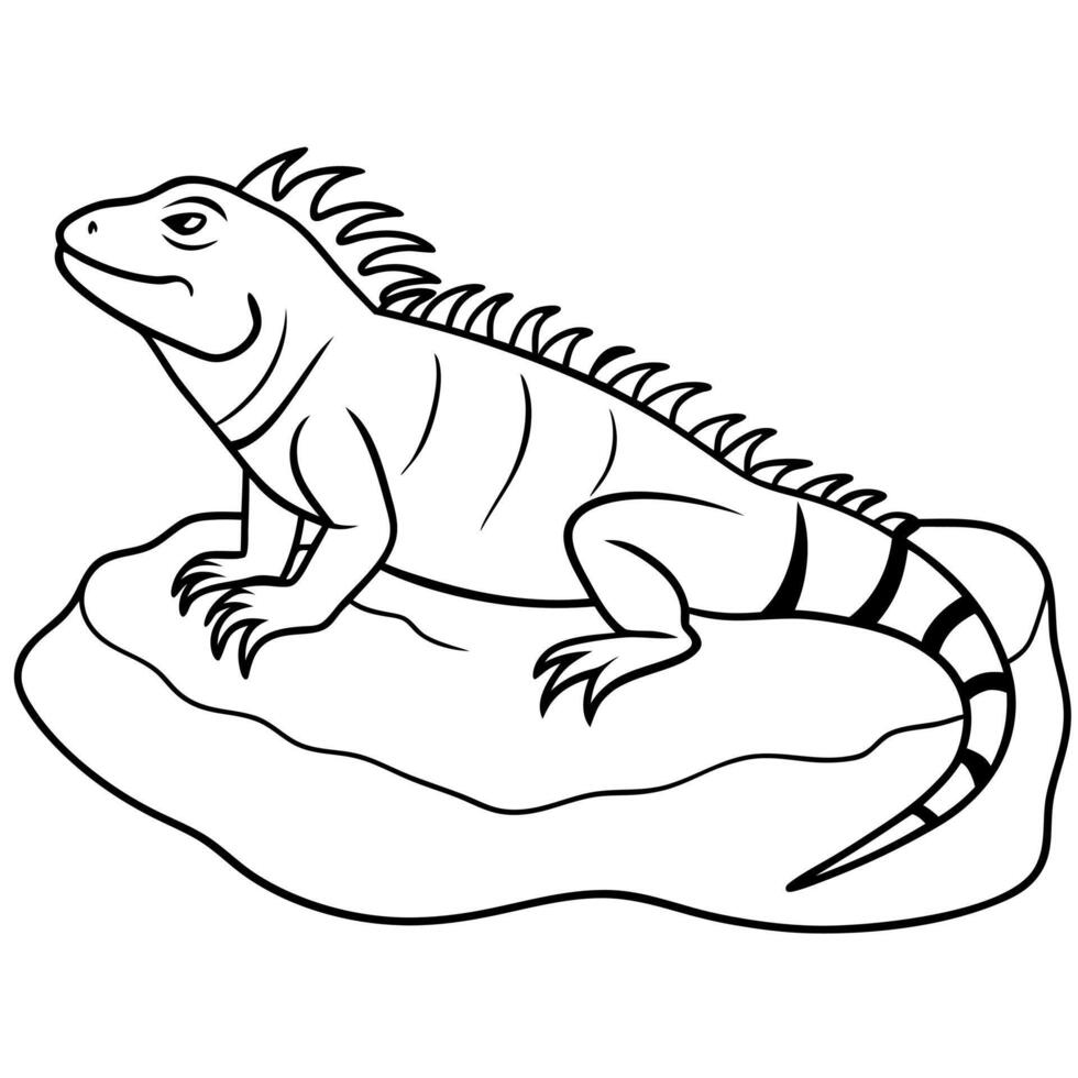 jungle animal coloring pages vector