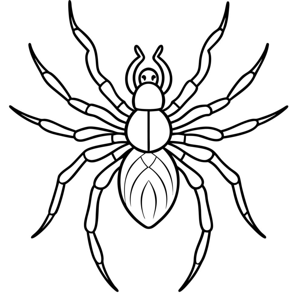 Cute insects and bugs coloring book for preschool kids vector