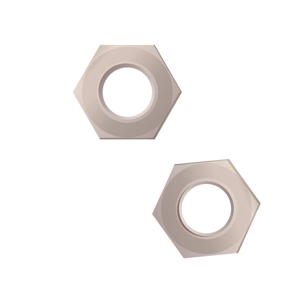 Illustration of a nut. On a white isolated background vector