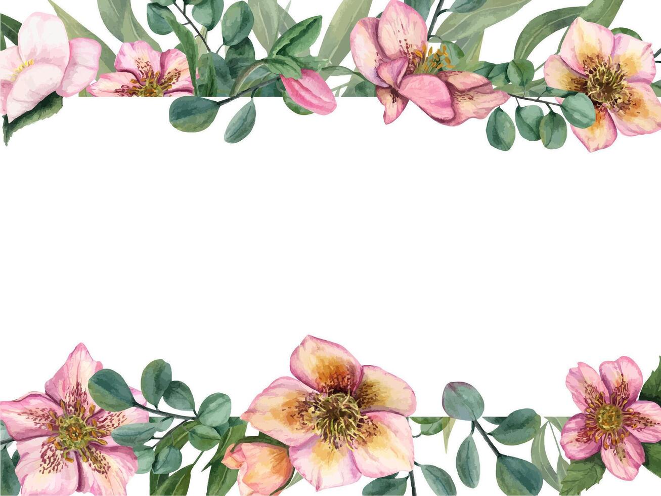Horizontal frame with hellebores, eucalyptus. Floral composition. Watercolor illustration for Valentine day, wedding cards, invitation template. Empty space for your text vector
