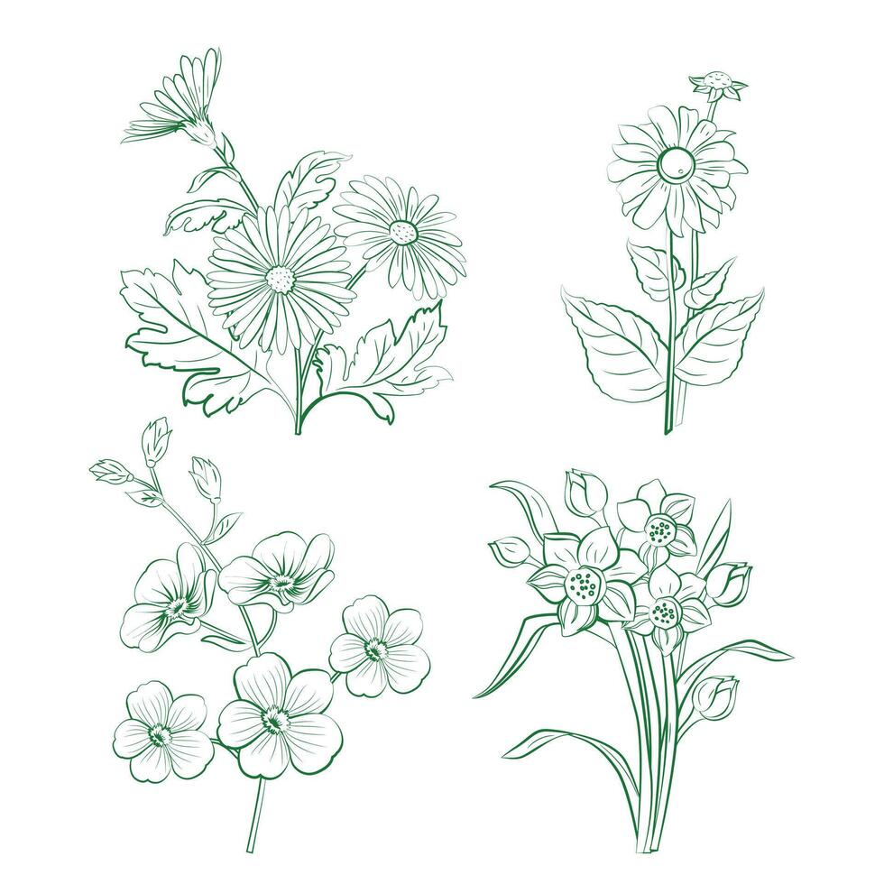 Herbal green ingredients hand-drawn outline with white Background vector