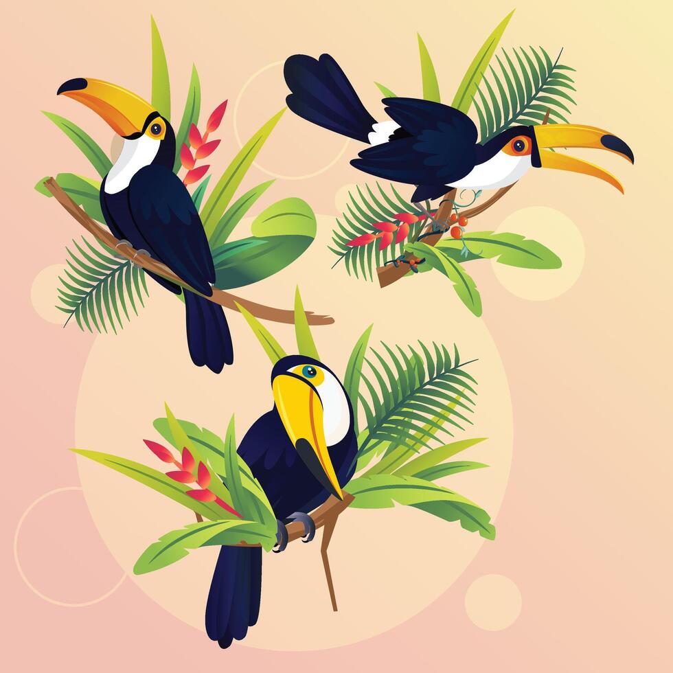 Set of Tropical bird toucan cartoon animal design. vector