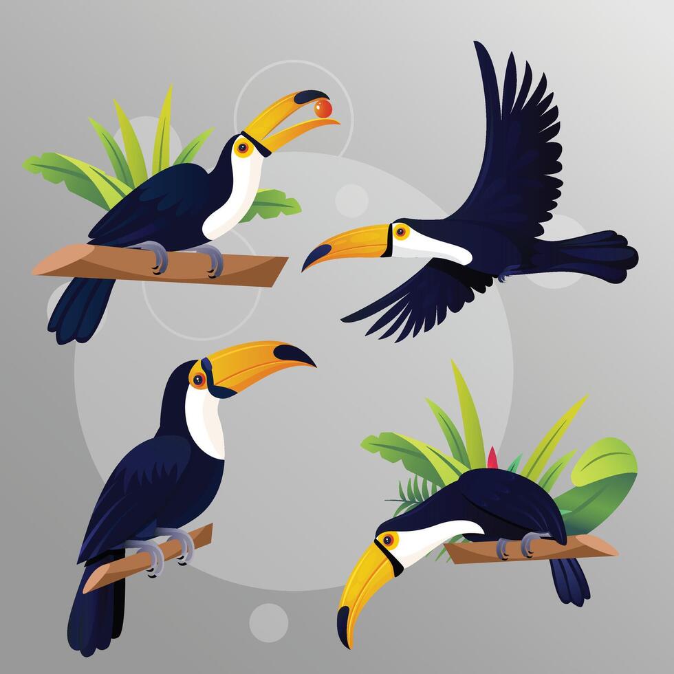 Set of Tropical bird toucan cartoon animal design vector