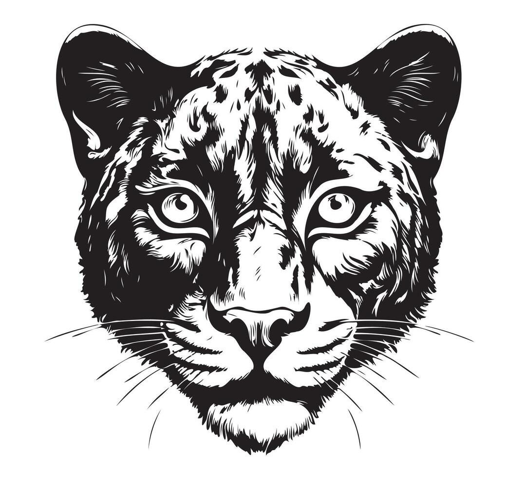 Panther cub portrait hand drawn sketch vector