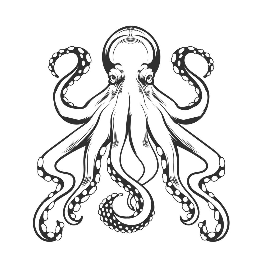 Octopus hand drawing vintage design vector