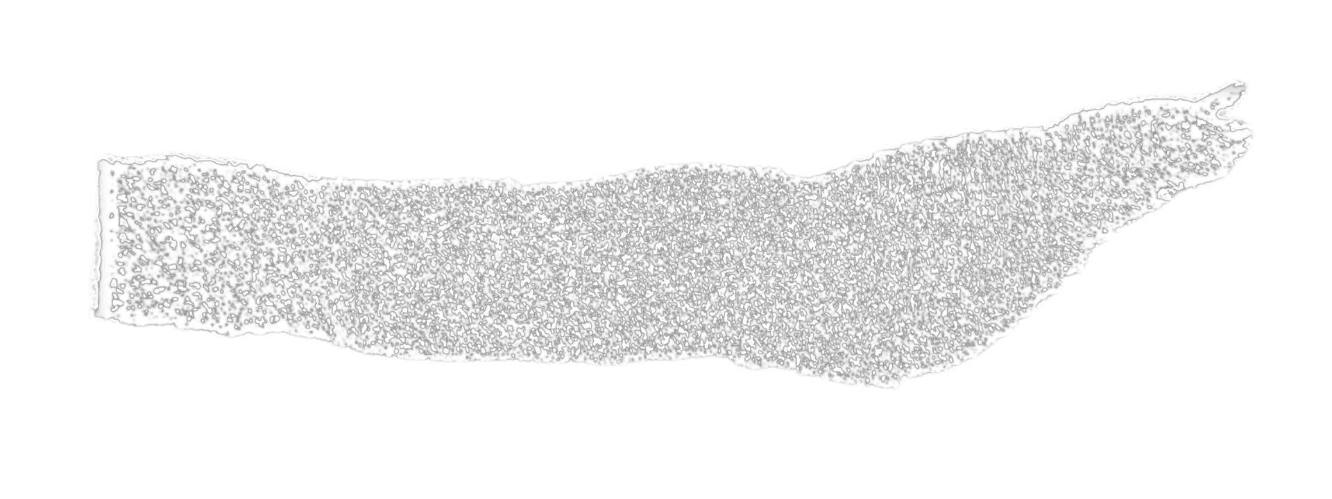 Grunge texture of concrete png