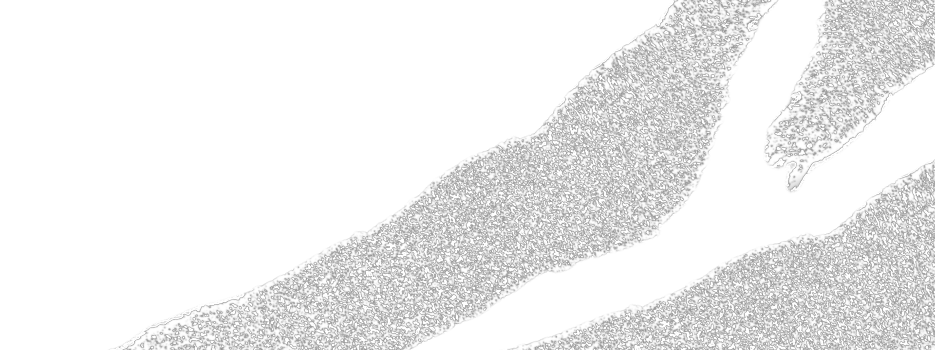 Grunge texture of concrete png