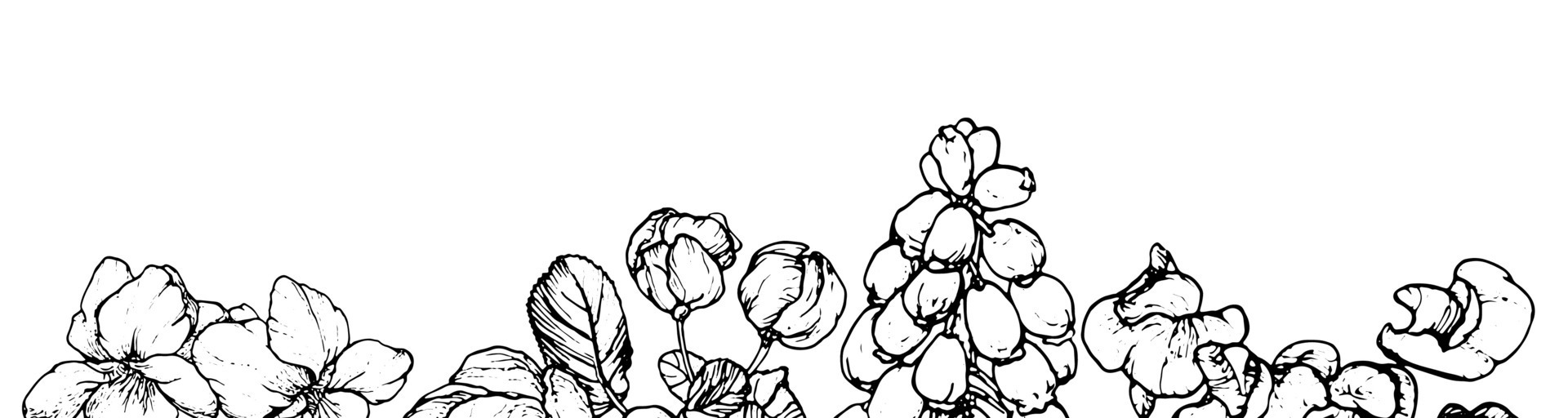 Spring flowers drawing with line-art on white background 46585106