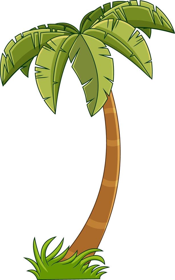 Cartoon Tropical Palm Tree With Crown Of Green Leaves vector