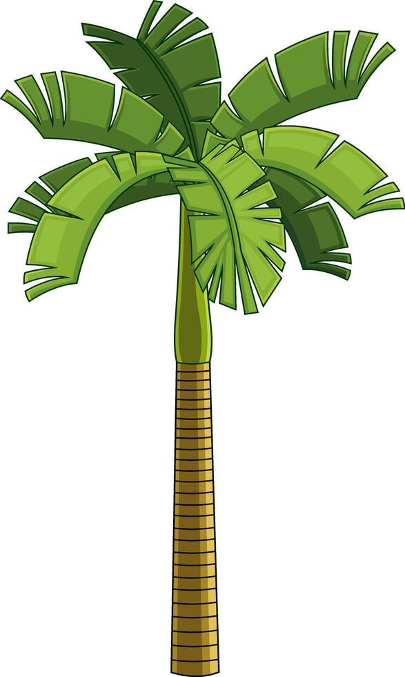 Cartoon Tropical Palm Tree With Crown Of Green Leaves vector