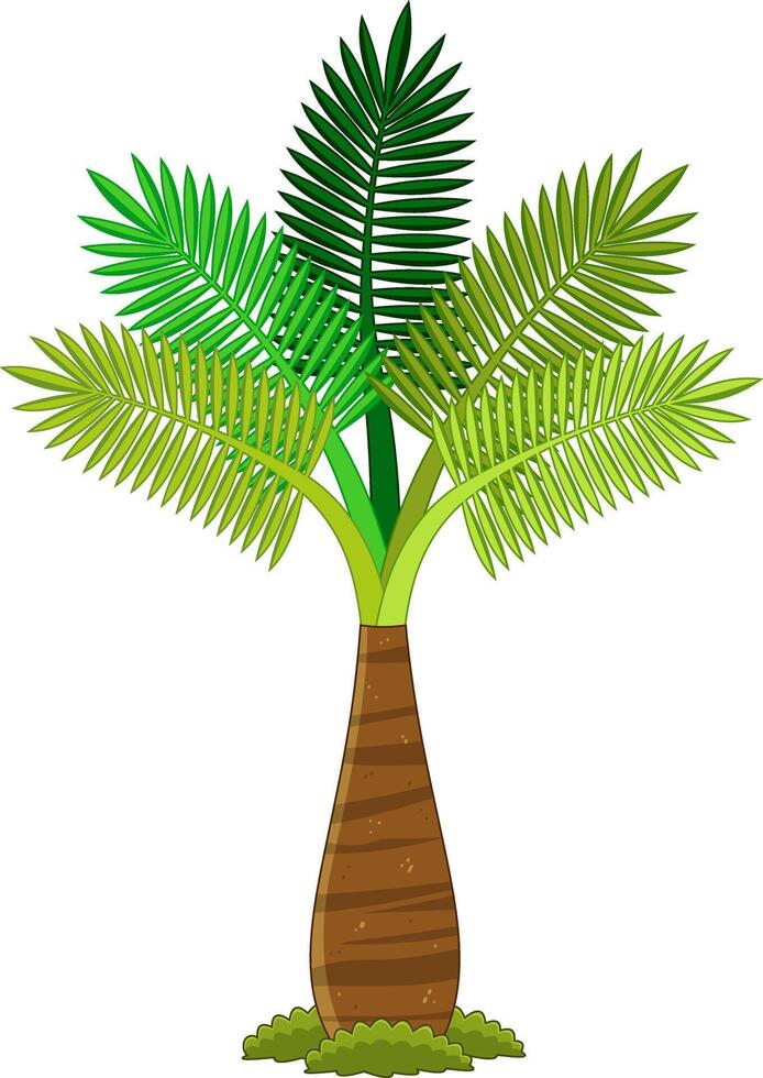 Cartoon Tropical Palm Tree With Green Leaves vector