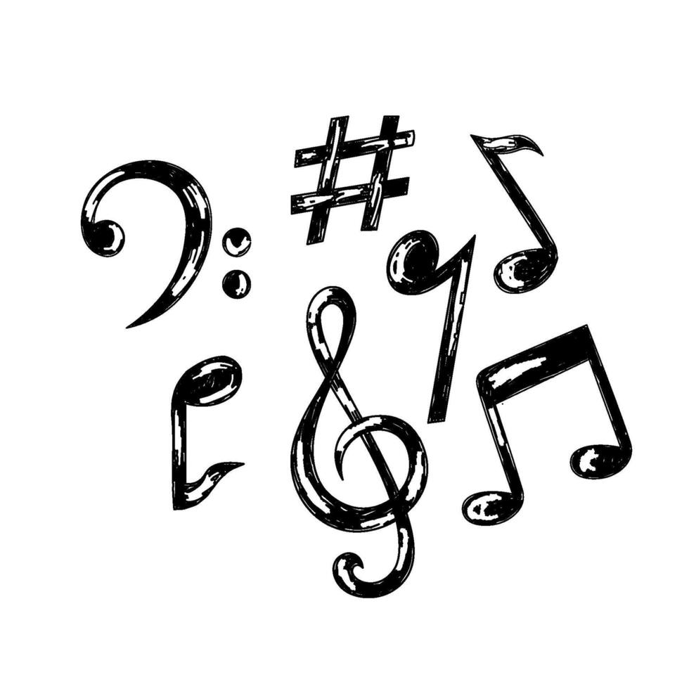 musical notes and basic musical scales vector
