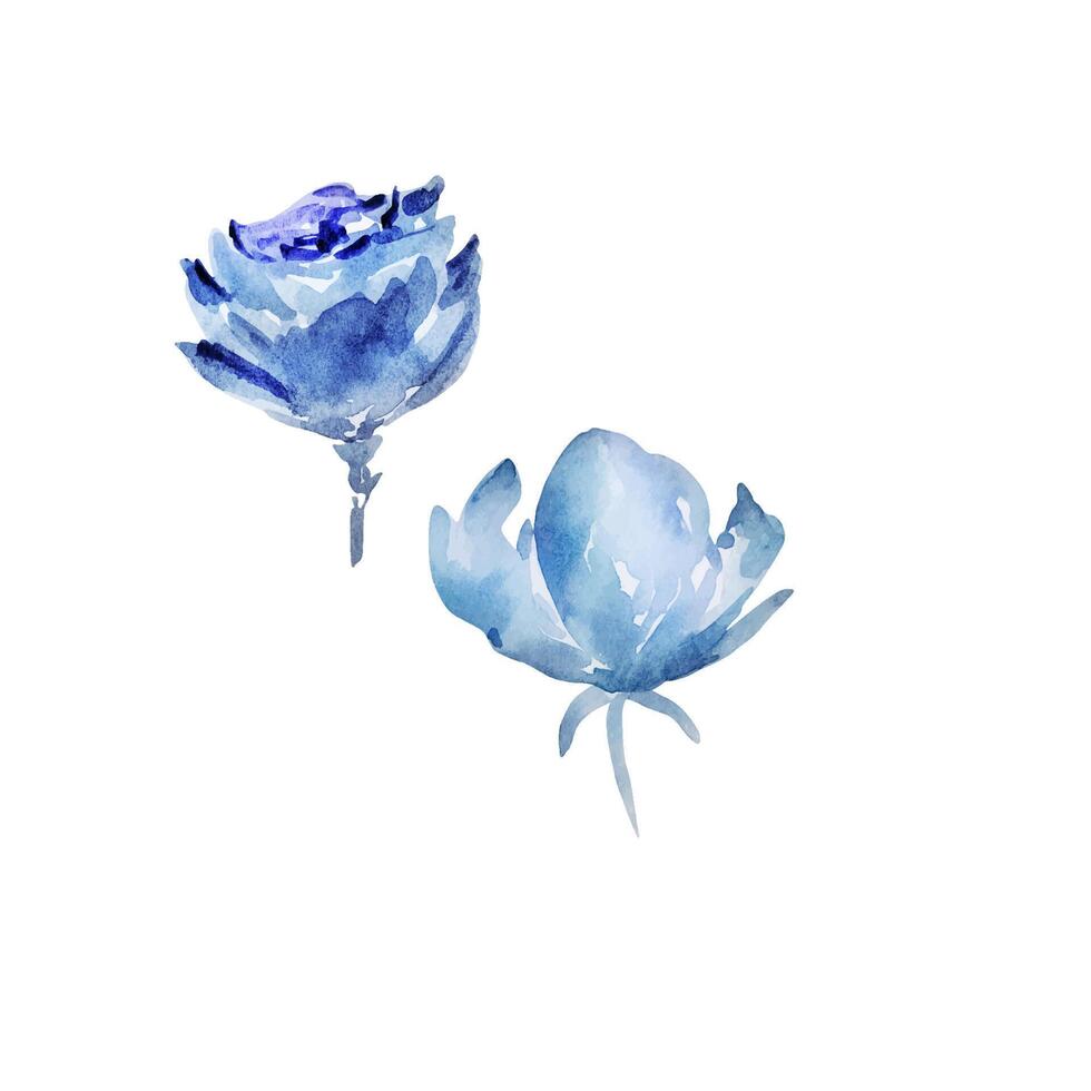 Blue Rose watercolor blossom flowers set vector