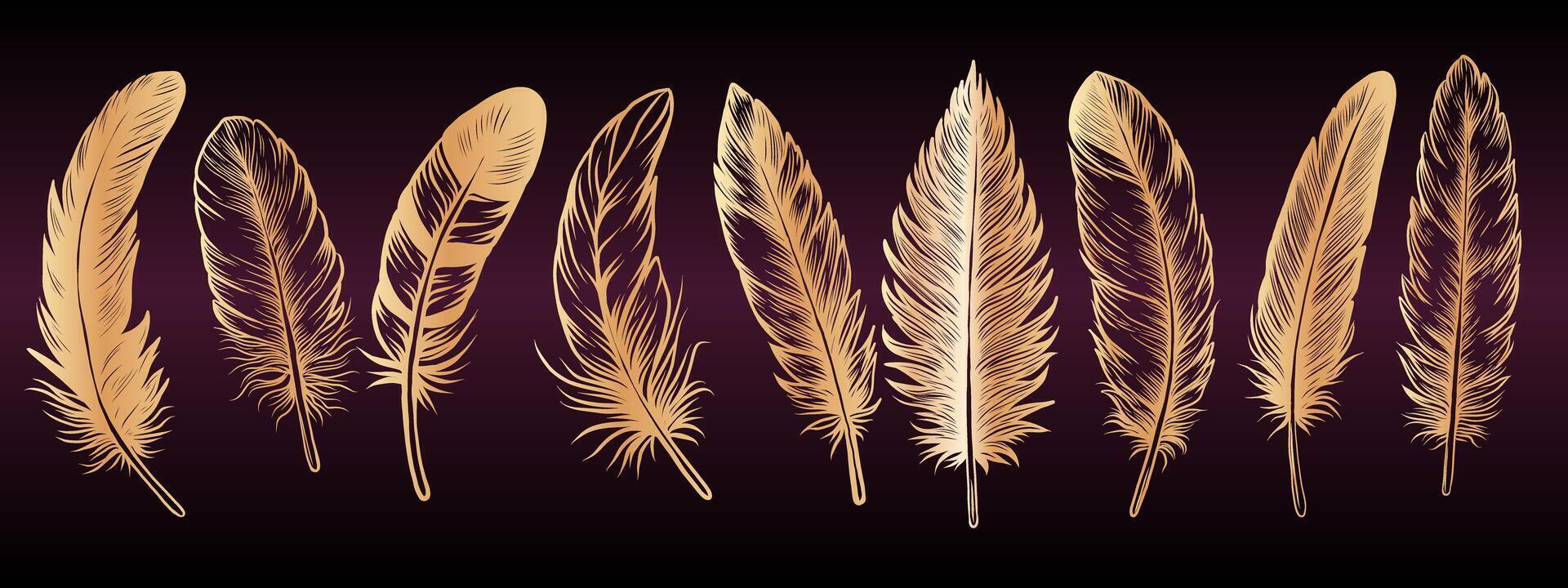 Gold feathers, bird wings plumage collection. Golden Soft fluffy quills set. illustration vector