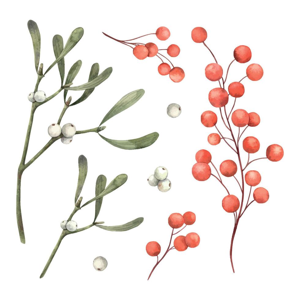 Collection of Christmas botanical elements, mistletoe and red berries. Watercolor isolated elements in realistic style. Suitable for Christmas cards, seasonal decorations and design projects. vector