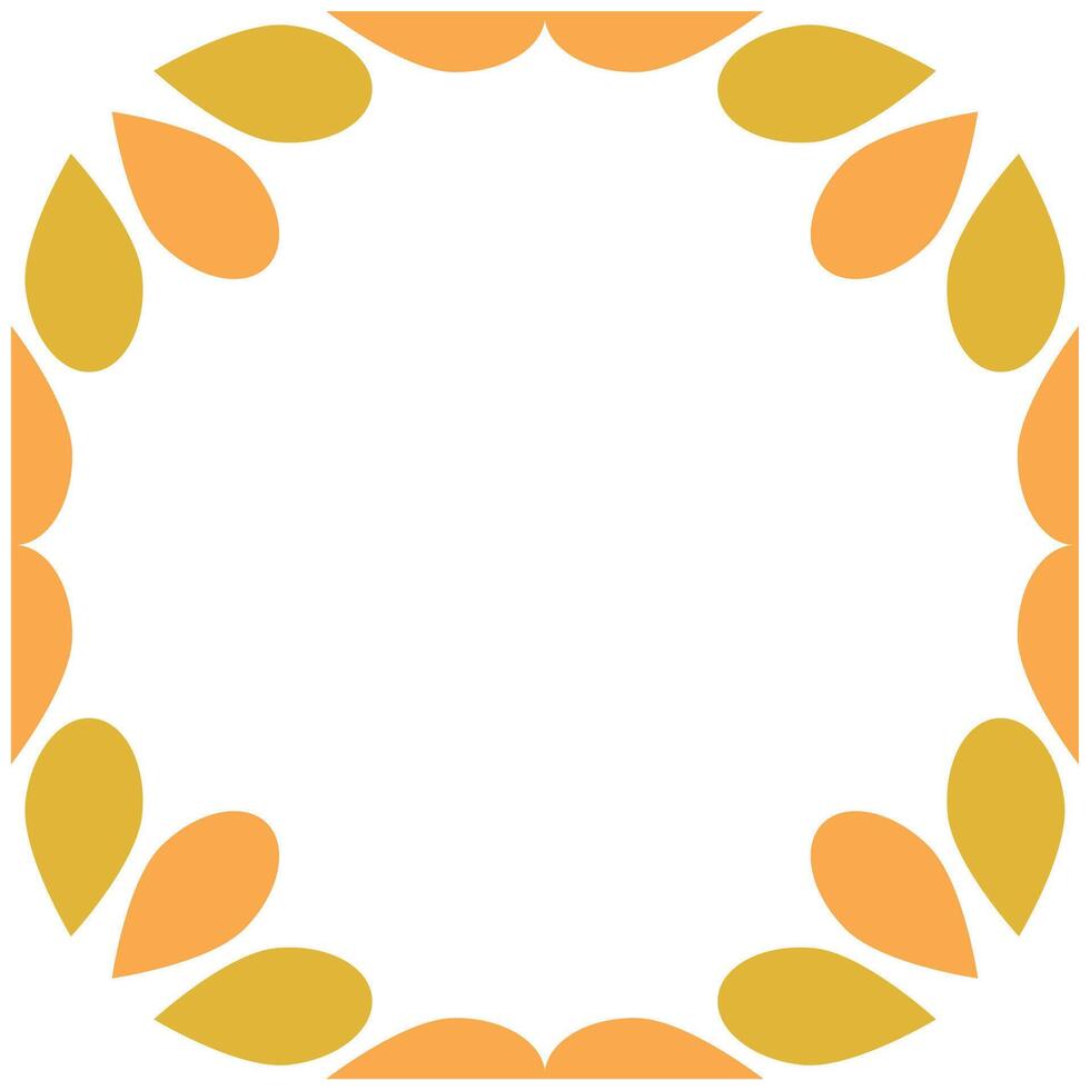 natural beautiful flower petal frame vector