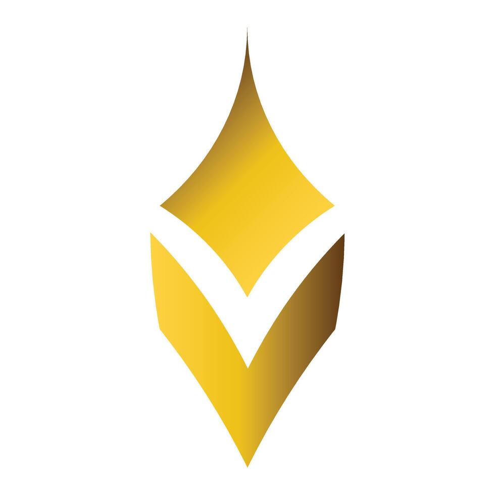 luxury golden geometric ornament vector