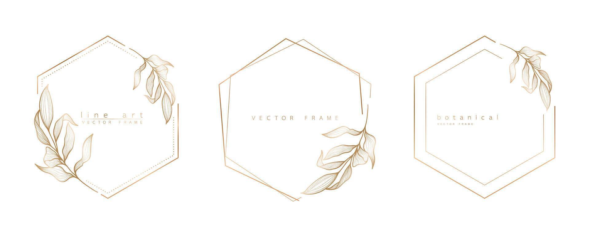 Set of hexagon frame templates in minimal linear style with hand drawn branches and leaves. Elegant polygon frame. Botanical illustration for labels, corporate identity, wedding invitation and logo. vector