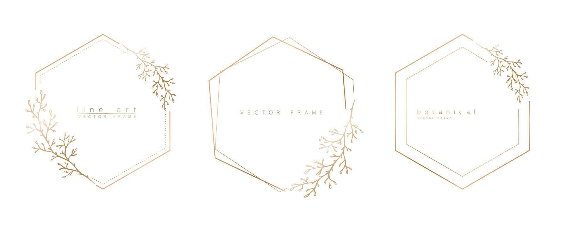 Set of hexagon frame templates in minimal linear style with hand drawn branches and leaves. Elegant polygon frame. Botanical illustration for labels, corporate identity, wedding invitation and logo. vector