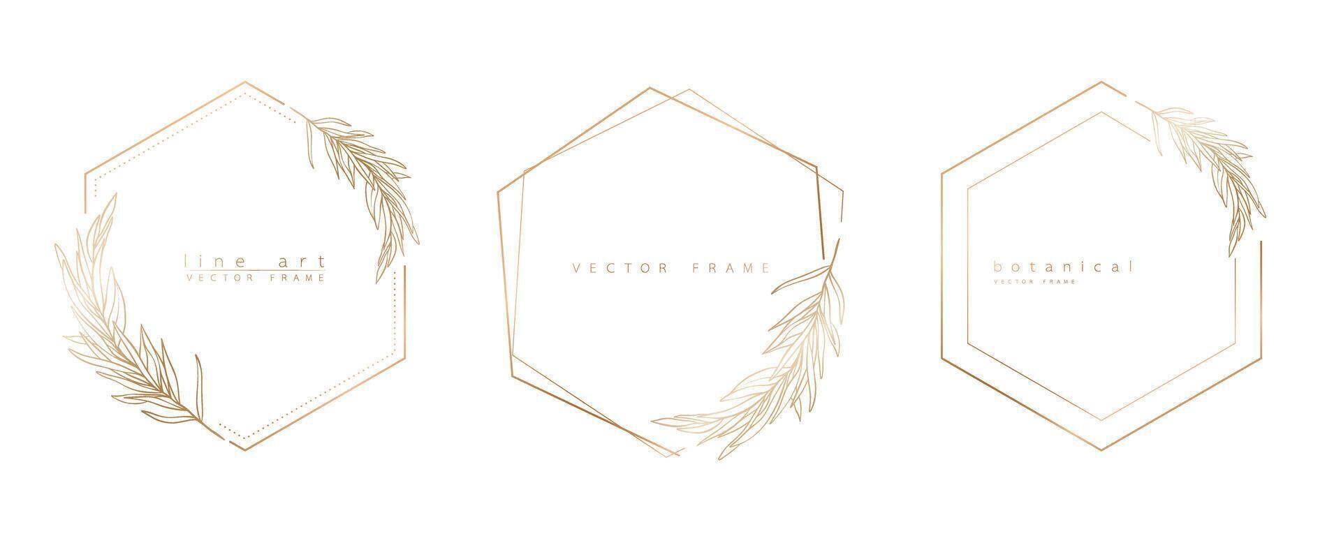 Set of hexagon frame templates in minimal linear style with hand drawn branches and leaves. Elegant polygon frame. Botanical illustration for labels, corporate identity, wedding invitation and logo. vector
