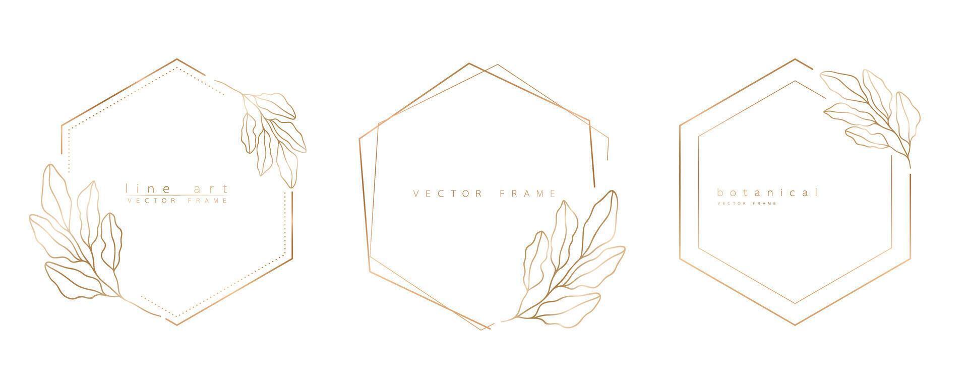 Set of hexagon frame templates in minimal linear style with hand drawn branches and leaves. Elegant polygon frame. Botanical illustration for labels, corporate identity, wedding invitation and logo. vector