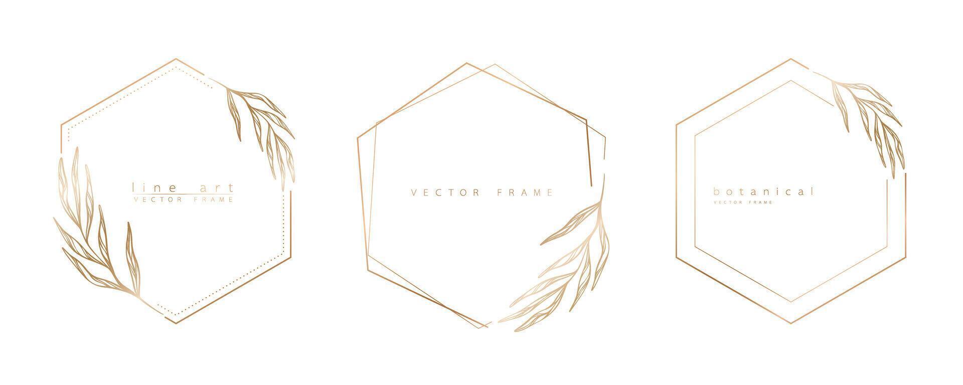 Set of hexagon frame templates in minimal linear style with hand drawn branches and leaves. Elegant polygon frame. Botanical illustration for labels, corporate identity, wedding invitation and logo. vector