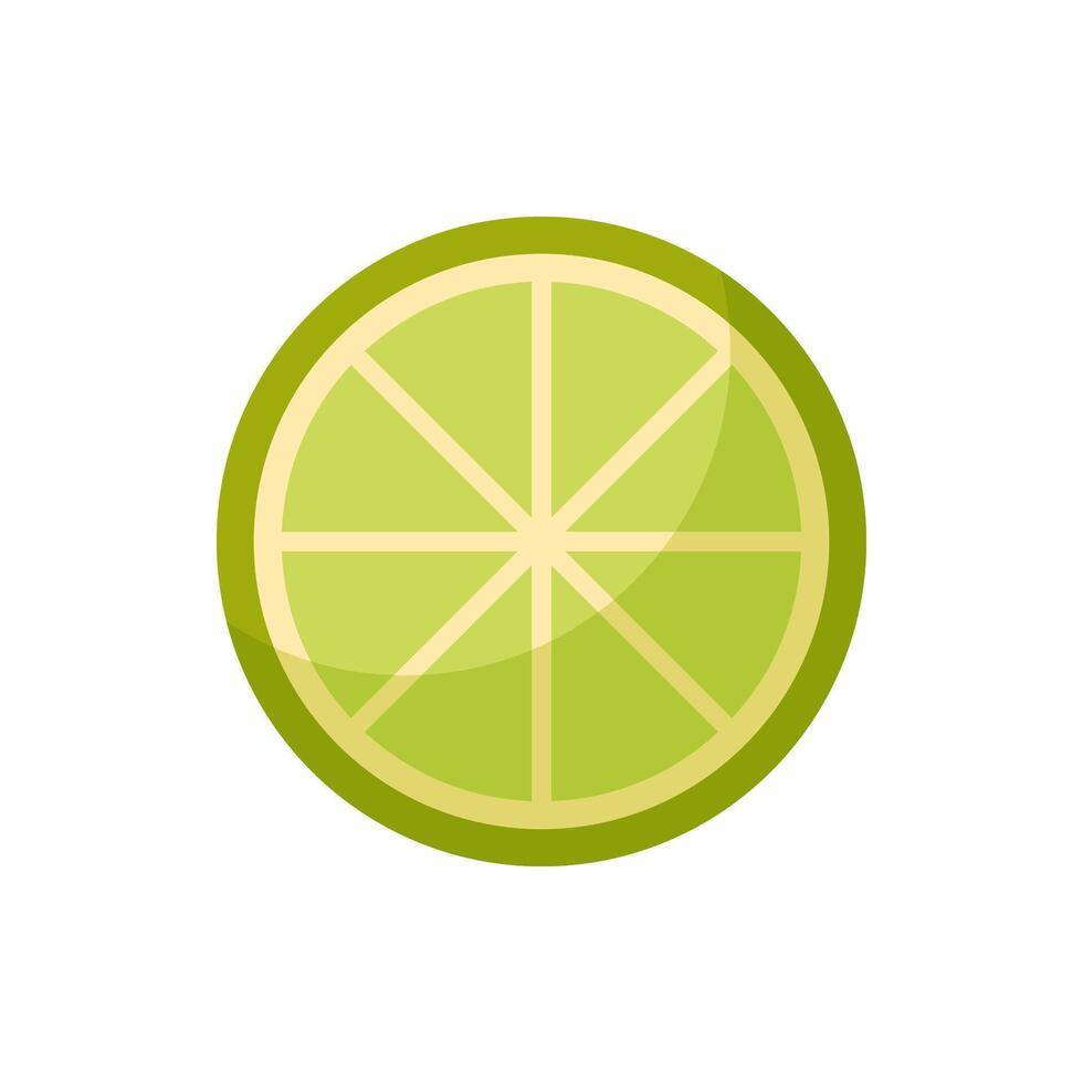 Fresh lime fruit slice. Vitamin C. Ripe juicy piece of citrus vector