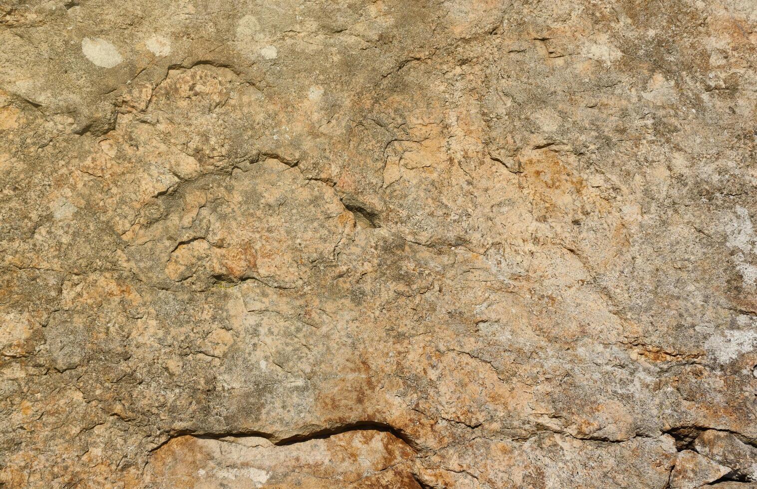 Closeup of the rough stone texture of a big rock surface for natural background concepts. Closeup dirty natural stone background texture photo