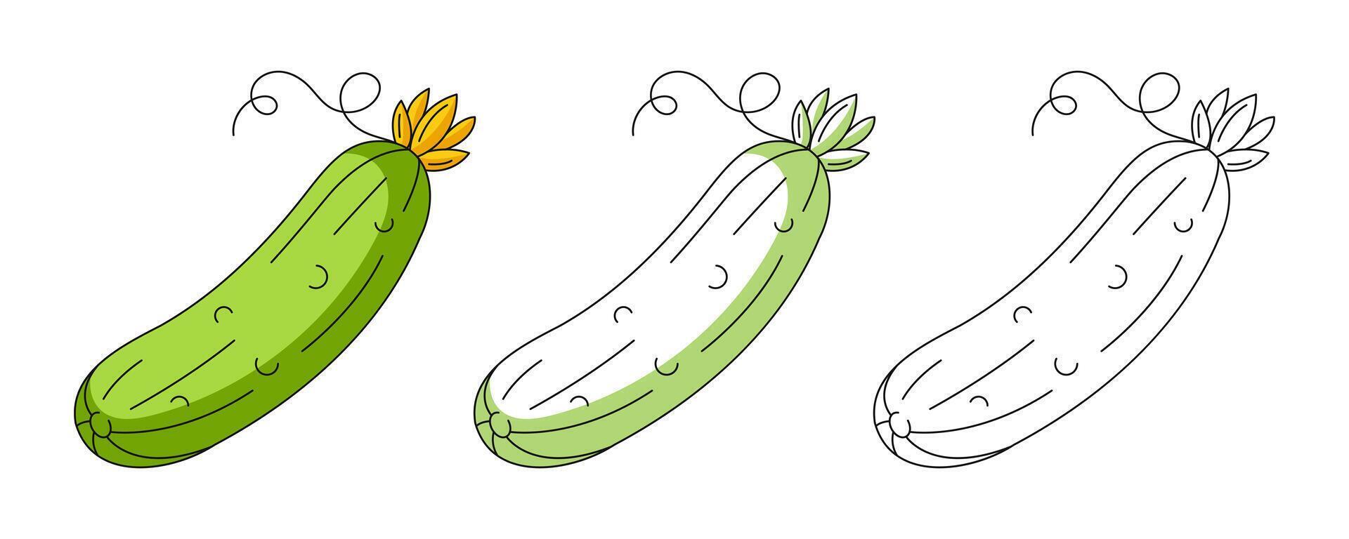 Cucumber, colorful and line greens icons set. Farm vegetable outline icon, monochrome and color illustration. Healthy nutrition, organic food, vegetarian product. For logo, coloring, sticker vector