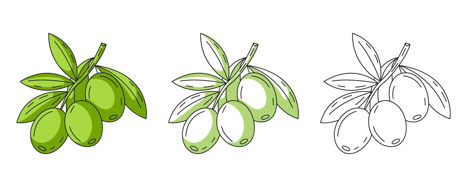 Olive branch, colorful and line greens icons set. Farm vegetable outline icon, monochrome and color illustration. Healthy nutrition, organic food, vegetarian product. For logo, coloring book vector