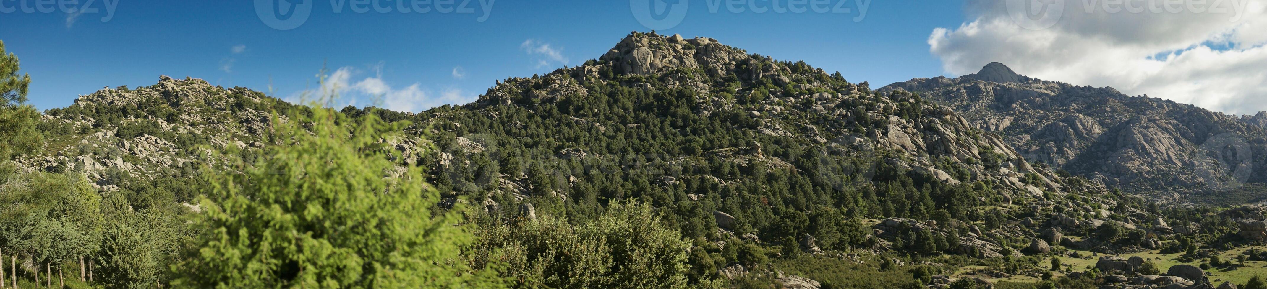 mountains, landscape, view, nature, plants, spring, sunny, flora photo