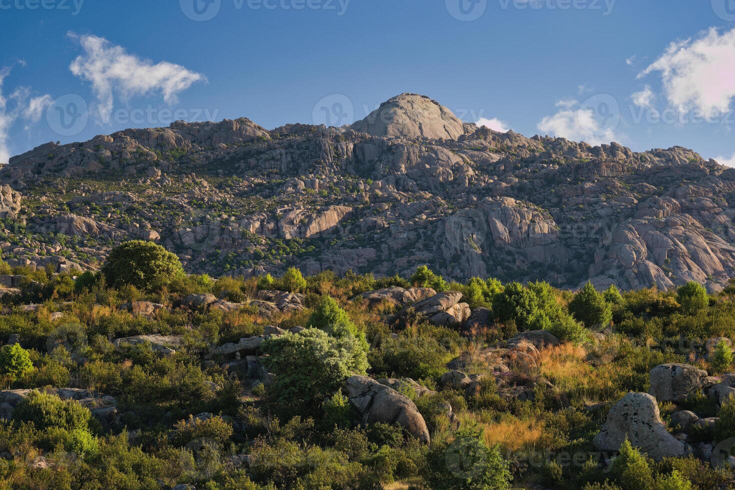 mountains, landscape, view, nature, plants, spring, sunny, flora photo