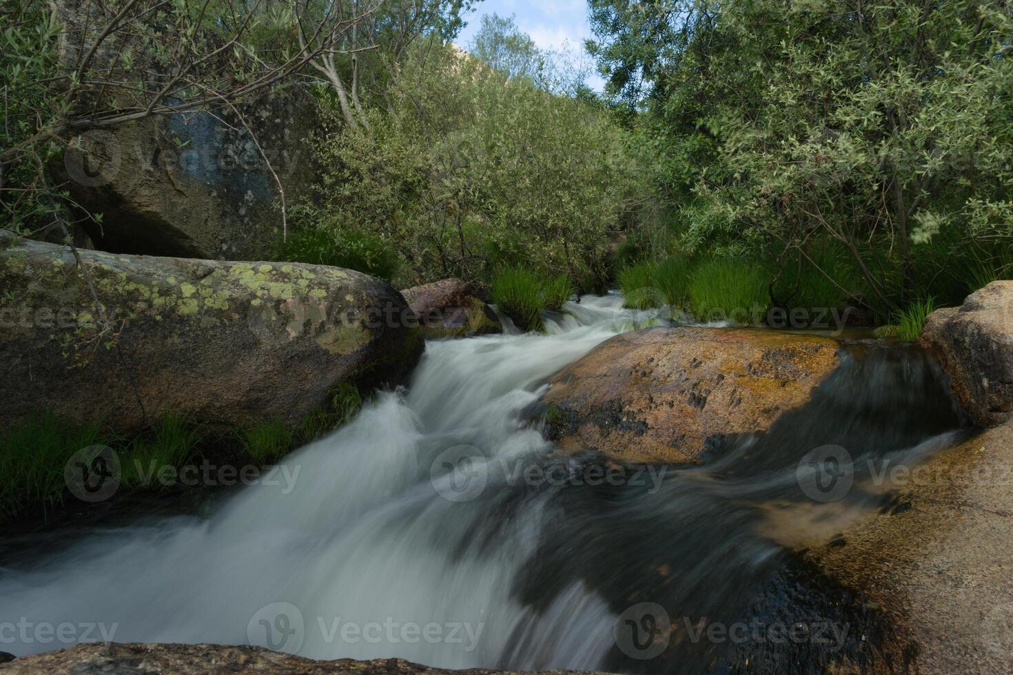 landscape, spring, view, river, plants, nature, water, transpare photo
